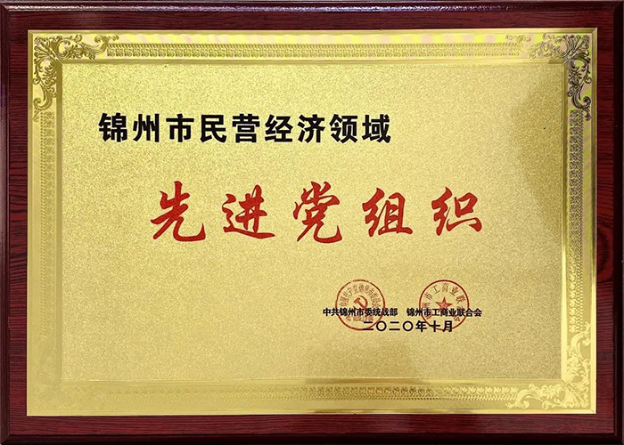 中共錦州市濱海電商行業(yè)協(xié)會/錦州濱海電子商務產(chǎn)業(yè)基地股份有限公司黨支部榮獲“先進黨組織”稱號